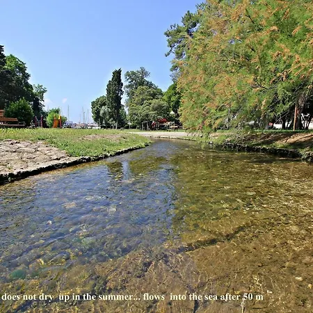 Puhov * Ζαντάρ